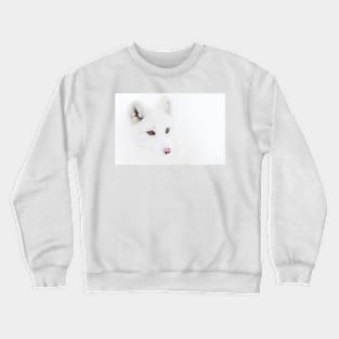 Arctic Fox closeup Crewneck Sweatshirt